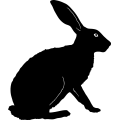 (image for) Rabbit 3 =