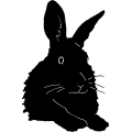 (image for) Rabbit 4 =