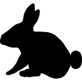 (image for) Rabbit 6 _