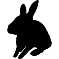 (image for) Rabbit 9 _