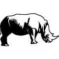 (image for) Rhino 1 =