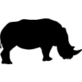 (image for) Rhino 1a _