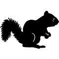 (image for) Squirrel =