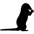 (image for) Otter 3 =