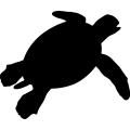 (image for) Sea Turtle 1 _