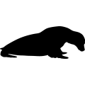 (image for) Seal 10 _