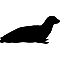 (image for) Seal 6 _