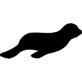 (image for) Seal Pup 3 _