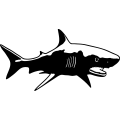(image for) Shark 2 =
