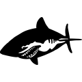 (image for) Shark 3 =