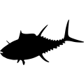 (image for) Tuna Fish 3 _