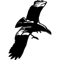 (image for) Crow 8 =