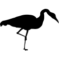 (image for) Whooping Crane 3 =