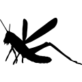 (image for) Grasshopper 3 =