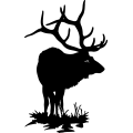 (image for) Elk Bull 1 =