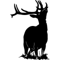 (image for) Elk Bull 2 =