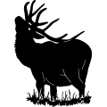 (image for) Elk Bull 3 =