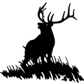 (image for) Elk Bull 4 =
