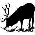 (image for) Elk Bull 5 =