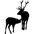 (image for) Elk Family 1 =