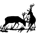 (image for) Elk Fight 1 =