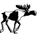 (image for) Moose 10 =