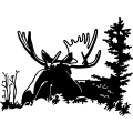 (image for) Moose 1 =