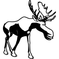 (image for) Moose 3 =