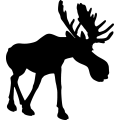 (image for) Moose 3a =