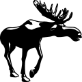 (image for) Moose 5 =