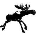 (image for) Moose 6 =