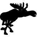 (image for) Moose 7a =