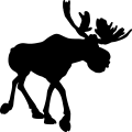 (image for) Moose 8a =
