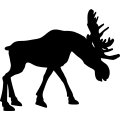 (image for) Moose 9a =