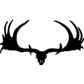 (image for) Moose Skull 1 =