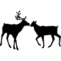 (image for) Reindeer Couple 1 =