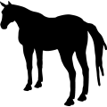 (image for) Horse 27a _