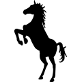 (image for) Horse 41a _