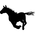 (image for) Horse 56a =