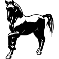 (image for) Horse 57 =
