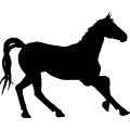(image for) Horse 62a =