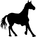 (image for) Horse 63a _