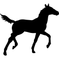(image for) Horse 9 _