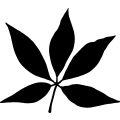 (image for) Leaf 100 _