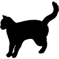 (image for) Cat 2 =