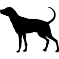(image for) Dog 14 _