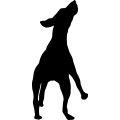 (image for) Dog 18 =