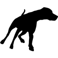 (image for) Hound 4 _
