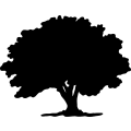 (image for) Tree 30 =