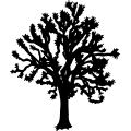(image for) Tree 5 =